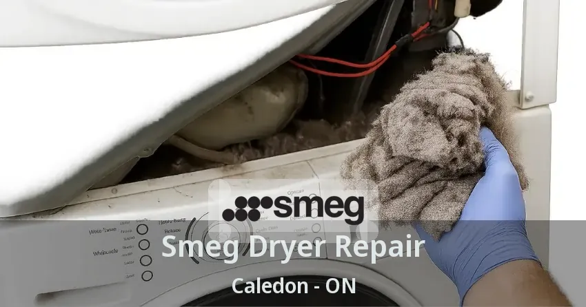 Smeg Dryer Repair Caledon - ON