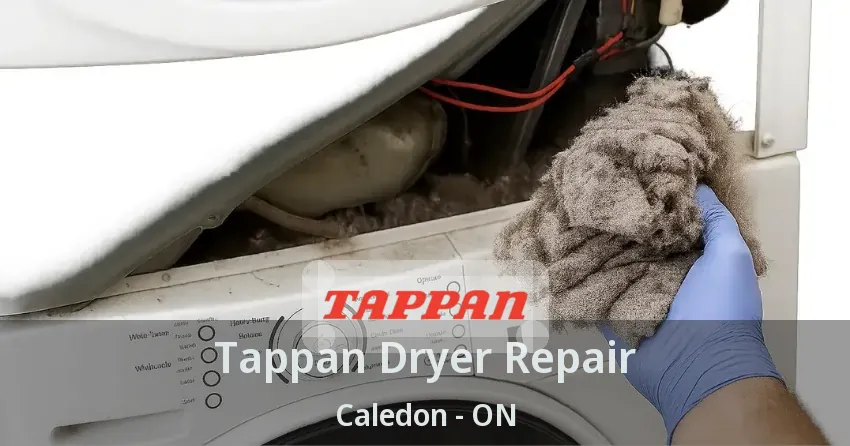 Tappan Dryer Repair Caledon - ON