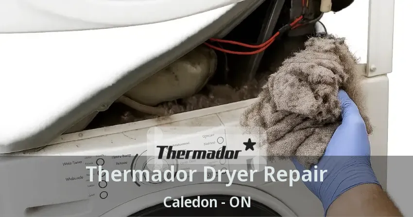 Thermador Dryer Repair Caledon - ON