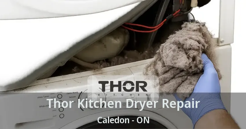 Thor Kitchen Dryer Repair Caledon - ON