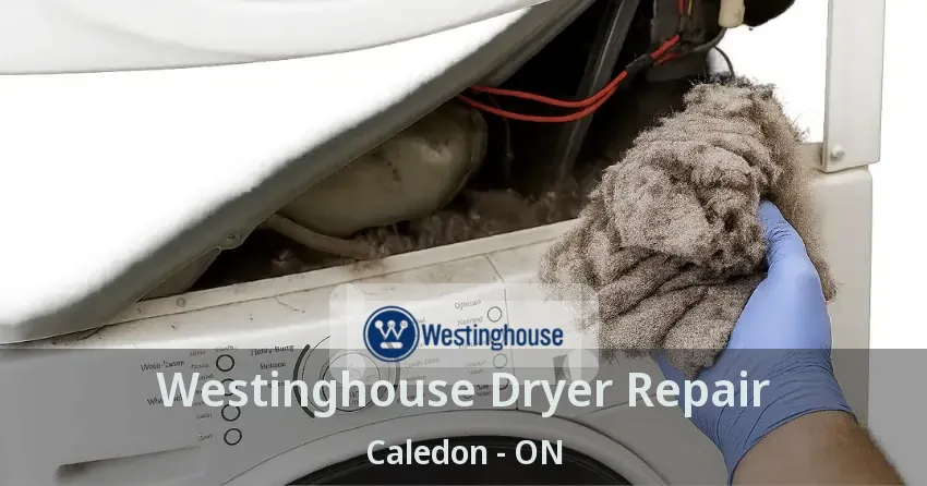 Westinghouse Dryer Repair Caledon - ON
