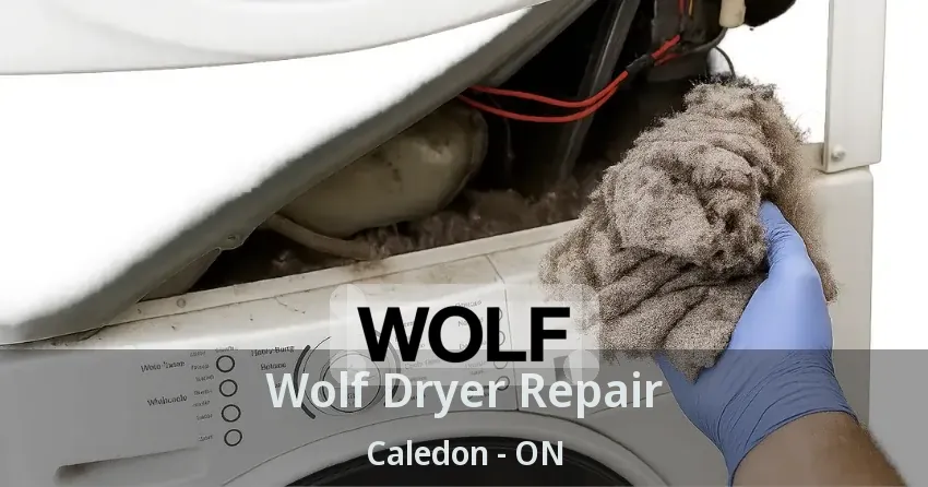 Wolf Dryer Repair Caledon - ON