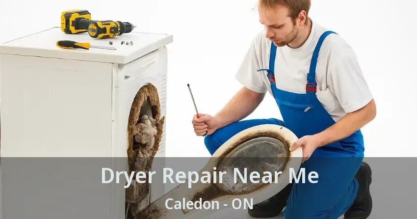 Dryer Repair Near Me Caledon - ON