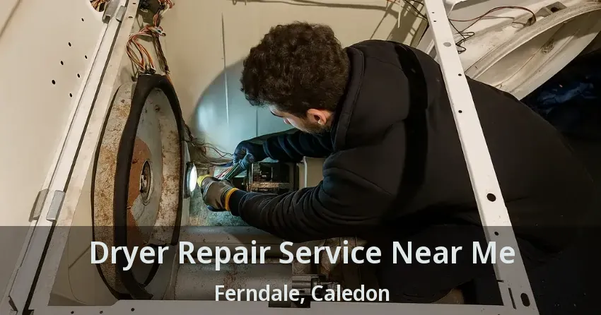 Dryer Repair Service Near Me Ferndale, Caledon - ON