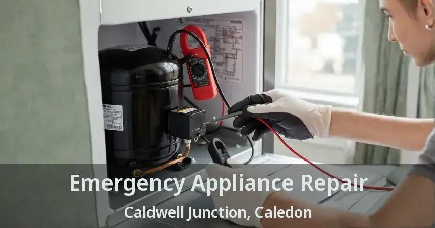 Emergency Appliance Repair Caldwell Junction, Caledon - ON