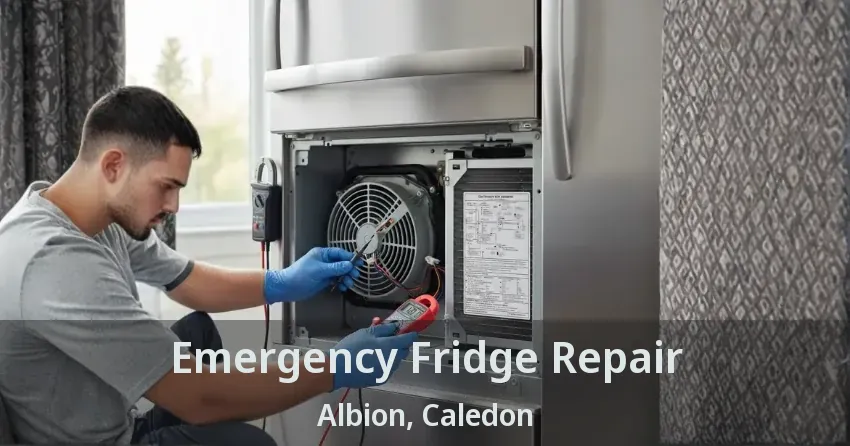 Emergency Fridge Repair Albion, Caledon - ON