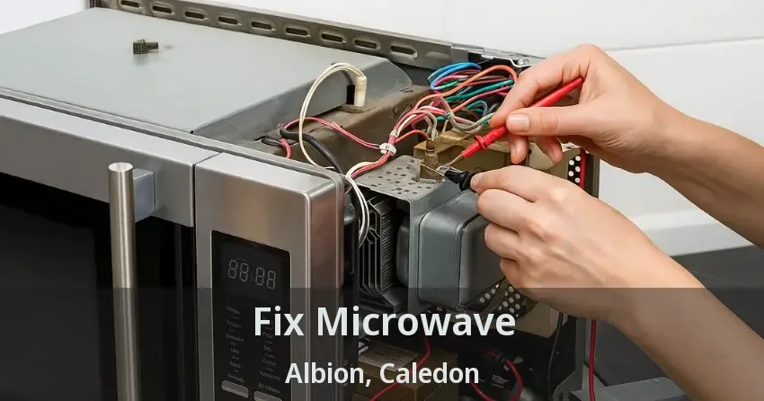 Fix Microwave Albion, Caledon - ON