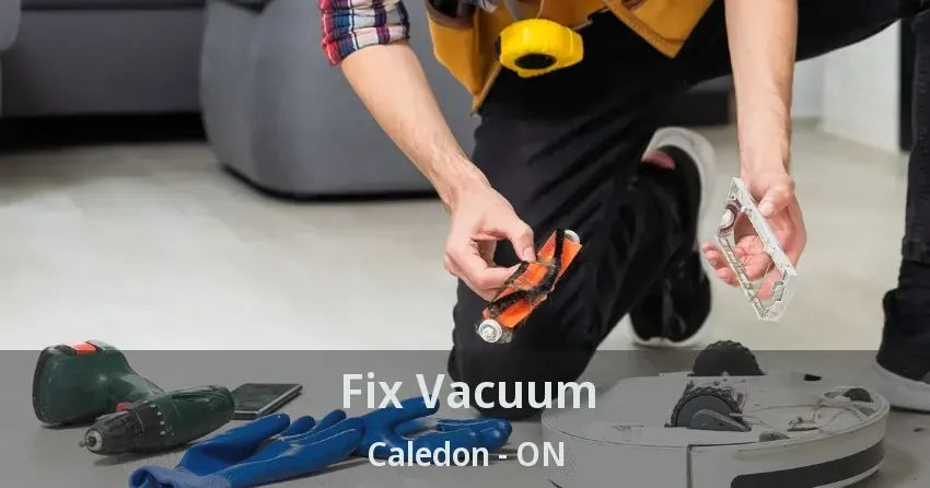 Fix Vacuum Caledon - ON