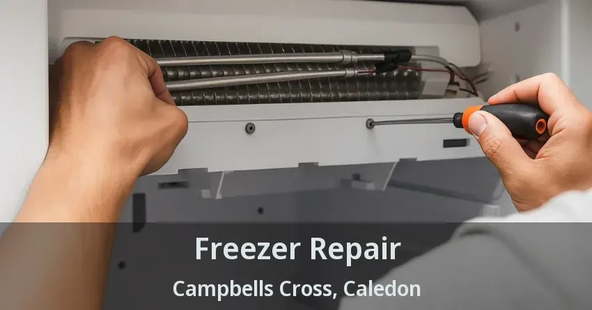 Freezer Repair Campbells Cross, Caledon - ON