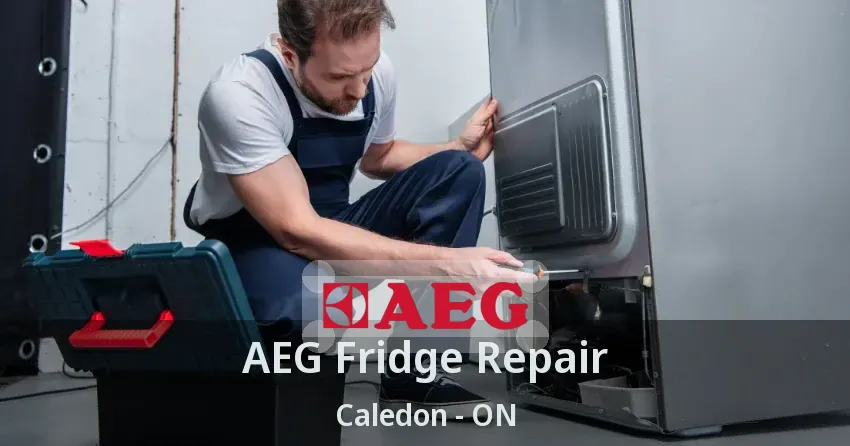 AEG Fridge Repair Caledon - ON