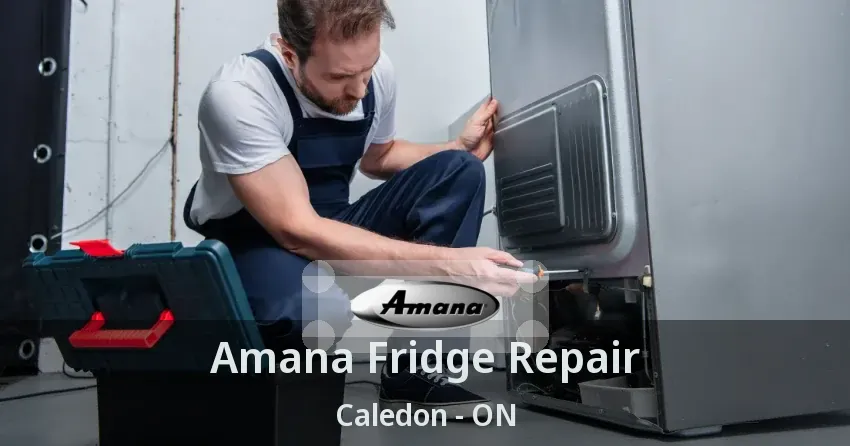 Amana Fridge Repair Caledon - ON
