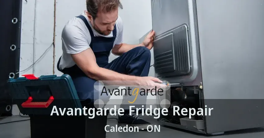 Avantgarde Fridge Repair Caledon - ON