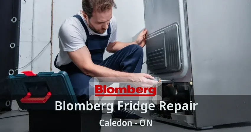 Blomberg Fridge Repair Caledon - ON