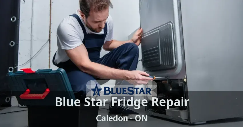 Blue Star Fridge Repair Caledon - ON