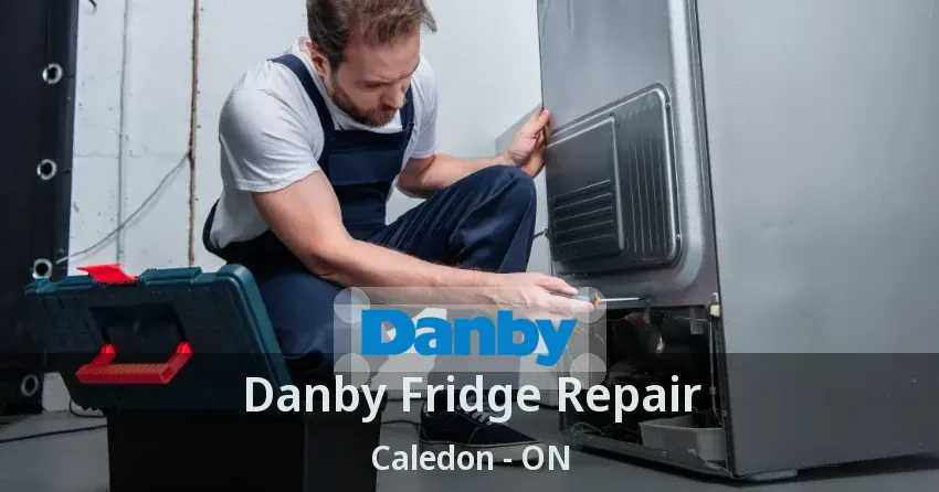 Danby Fridge Repair Caledon - ON