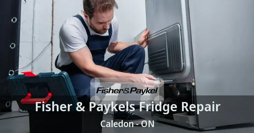 Fisher & Paykels Fridge Repair Caledon - ON