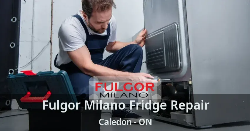 Fulgor Milano Fridge Repair Caledon - ON