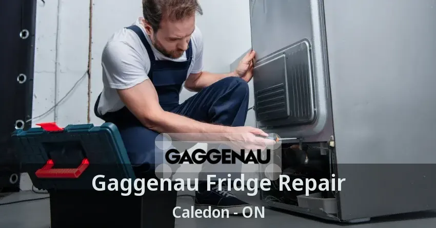 Gaggenau Fridge Repair Caledon - ON