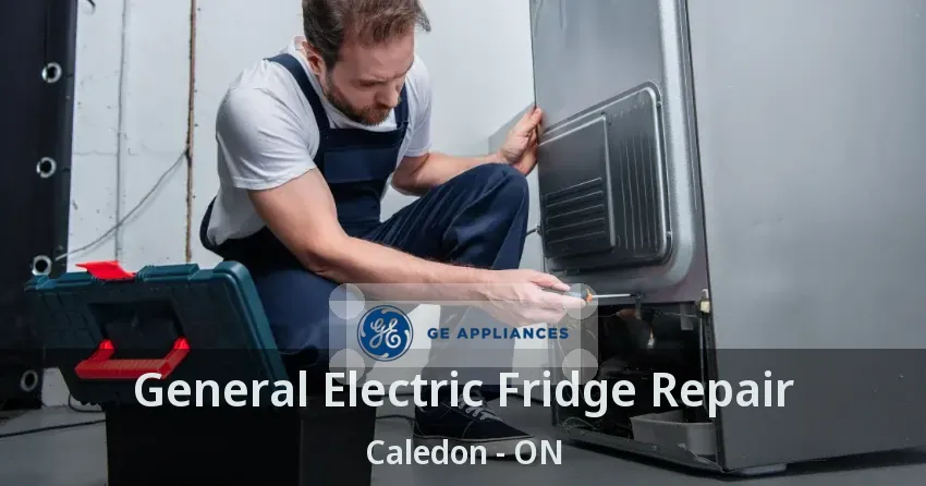 General Electric Fridge Repair Caledon - ON