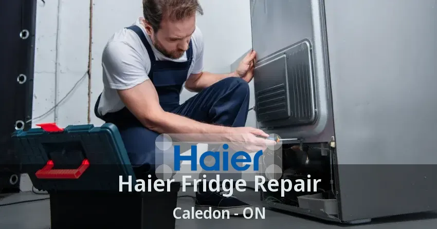 Haier Fridge Repair Caledon - ON