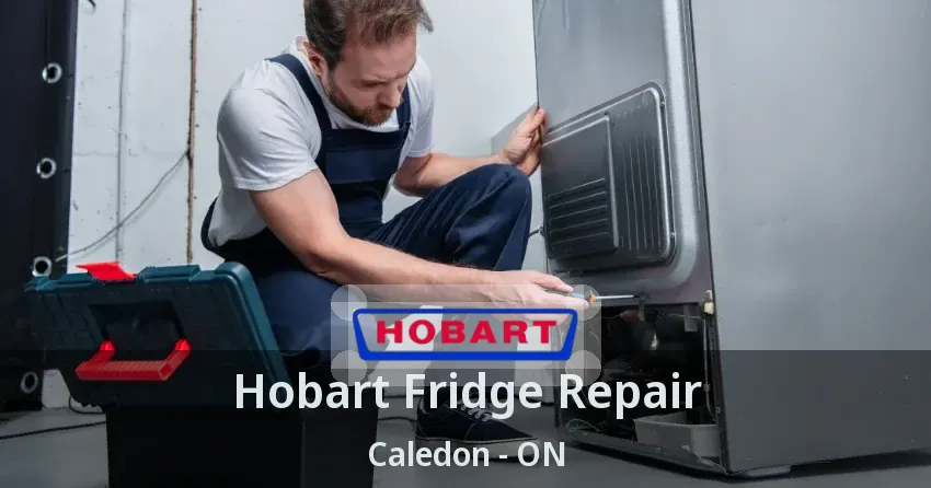 Hobart Fridge Repair Caledon - ON