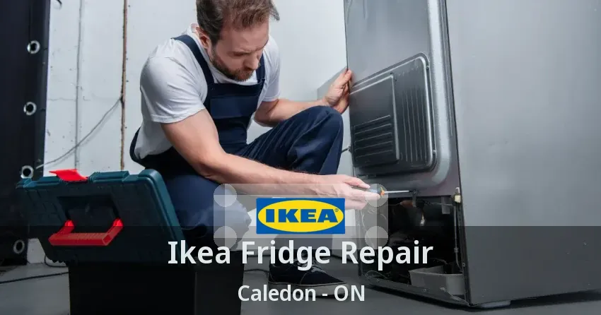 Ikea Fridge Repair Caledon - ON
