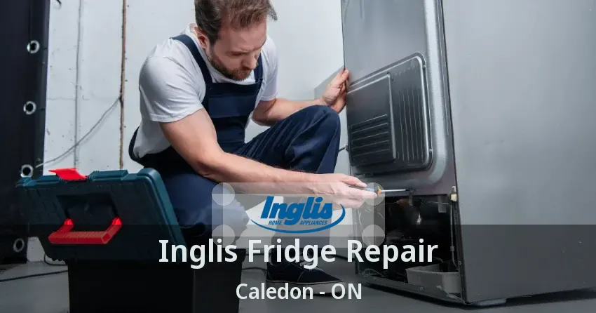Inglis Fridge Repair Caledon - ON