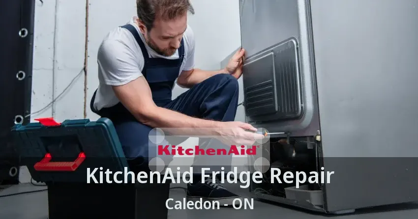 KitchenAid Fridge Repair Caledon - ON
