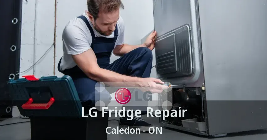 LG Fridge Repair Caledon - ON