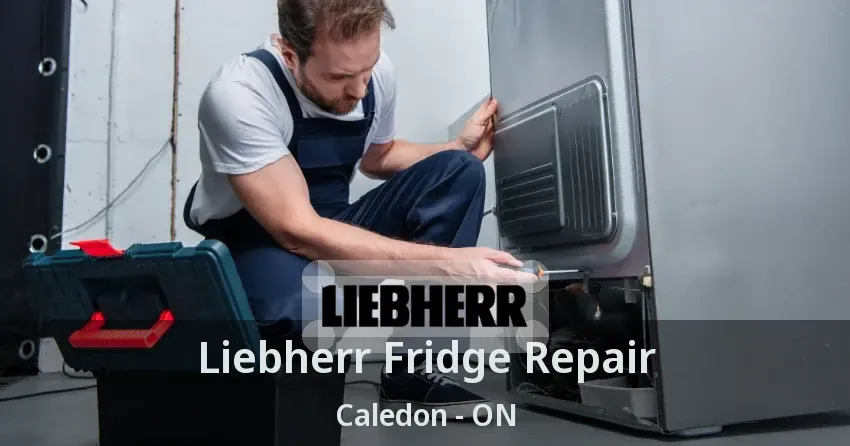 Liebherr Fridge Repair Caledon - ON