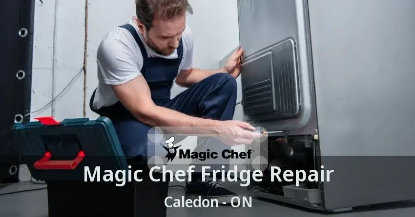 Magic Chef Fridge Repair Caledon - ON