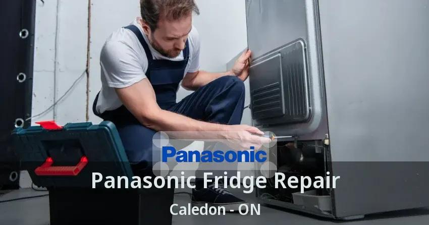 Panasonic Fridge Repair Caledon - ON