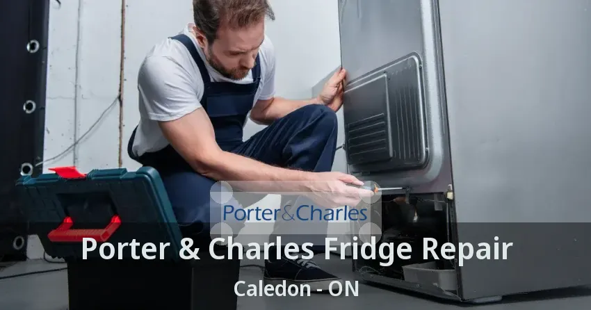 Porter & Charles Fridge Repair Caledon - ON
