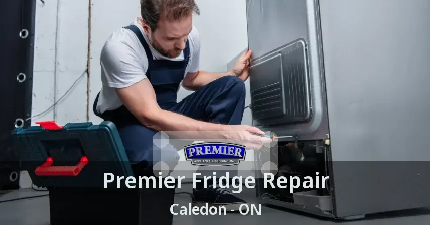 Premier Fridge Repair Caledon - ON