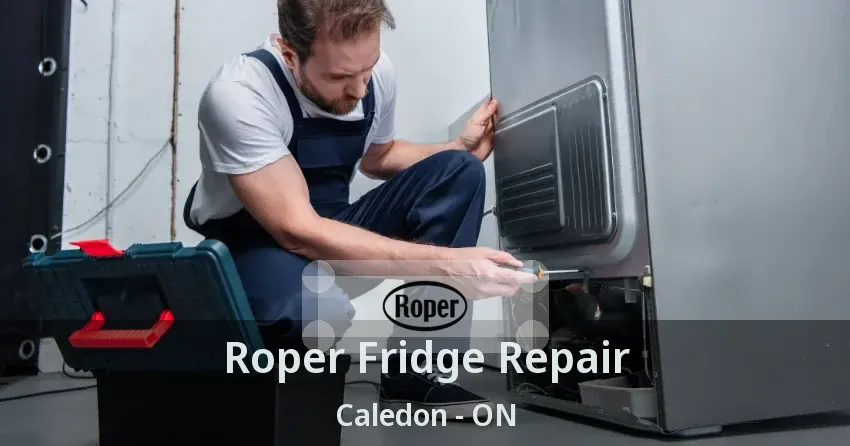 Roper Fridge Repair Caledon - ON