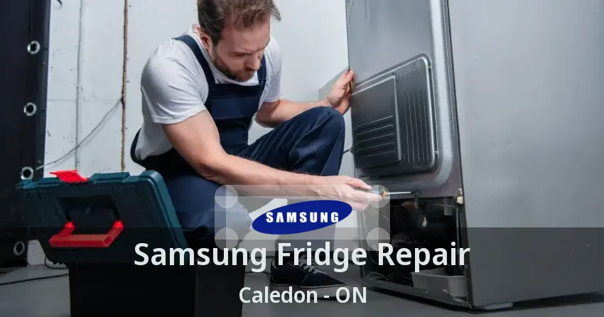 Samsung Fridge Repair Caledon - ON