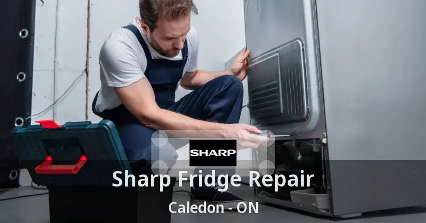 Sharp Fridge Repair Caledon - ON