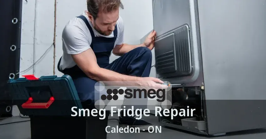 Smeg Fridge Repair Caledon - ON