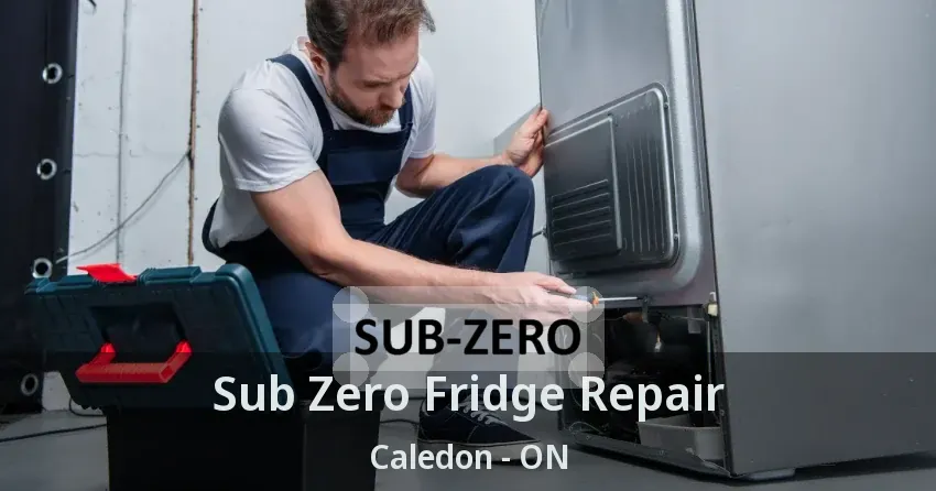 Sub Zero Fridge Repair Caledon - ON