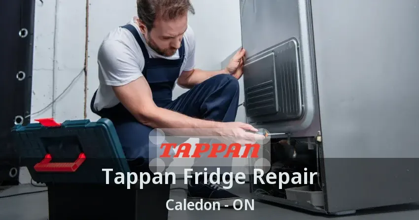 Tappan Fridge Repair Caledon - ON