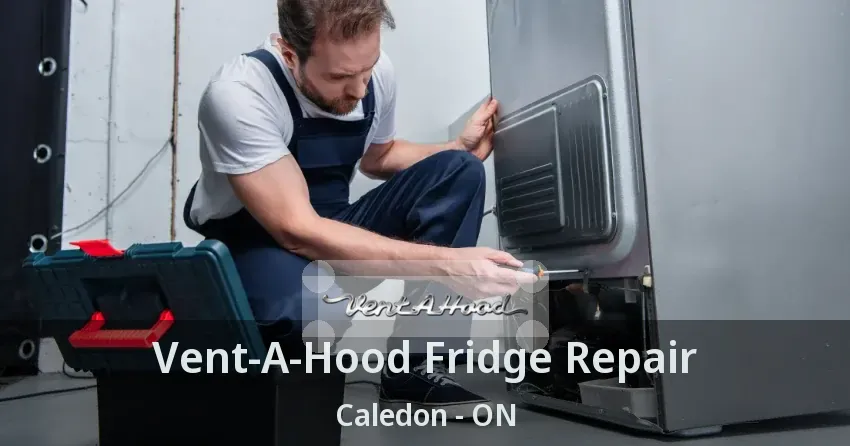 Vent-A-Hood Fridge Repair Caledon - ON