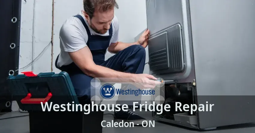 Westinghouse Fridge Repair Caledon - ON