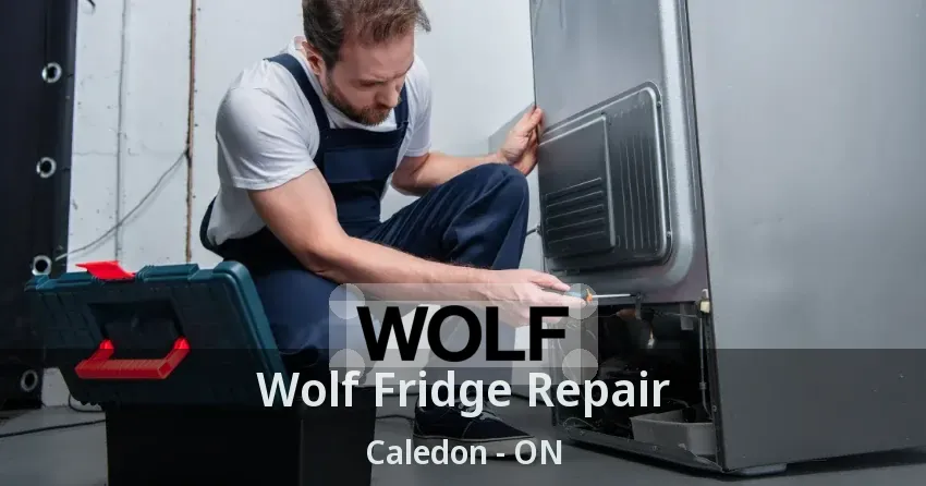 Wolf Fridge Repair Caledon - ON