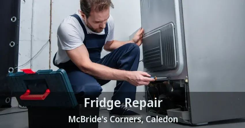 Fridge Repair McBride's Corners, Caledon - ON