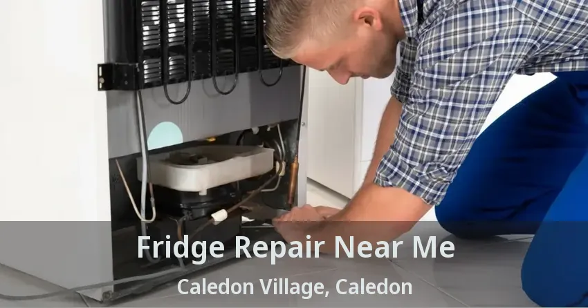 Fridge Repair Near Me Caledon Village, Caledon - ON
