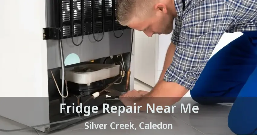Fridge Repair Near Me Silver Creek, Caledon - ON