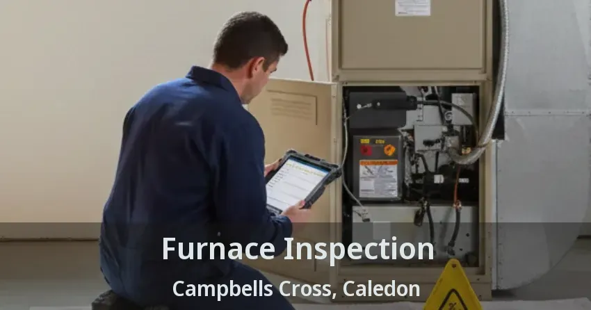 Furnace Inspection Campbells Cross, Caledon - ON