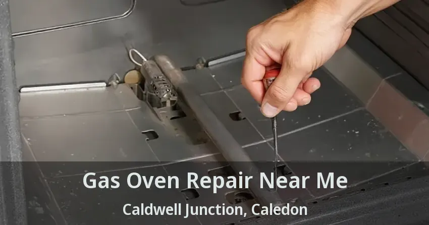 Gas Oven Repair Near Me Caldwell Junction, Caledon - ON