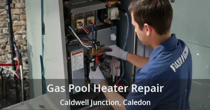 Gas Pool Heater Repair Caldwell Junction, Caledon - ON
