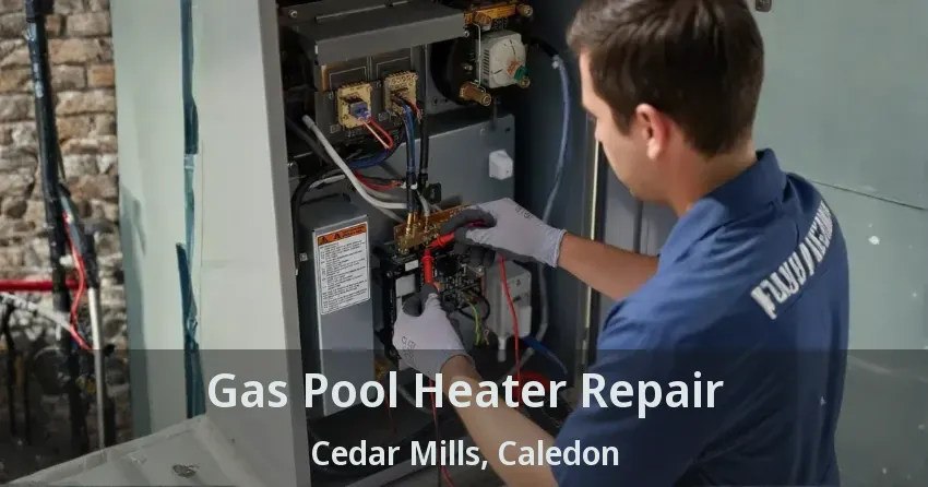 Gas Pool Heater Repair Cedar Mills, Caledon - ON